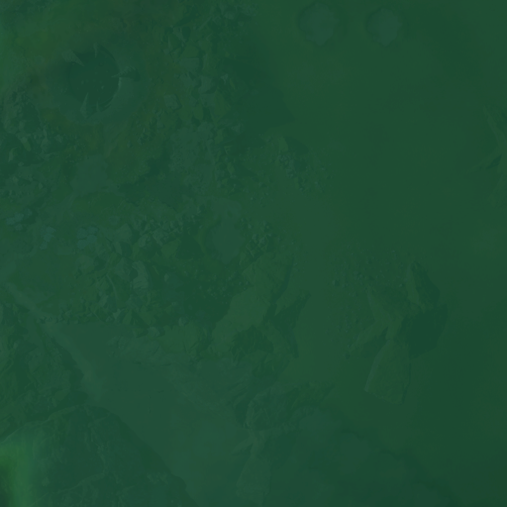 Terrain 1_4